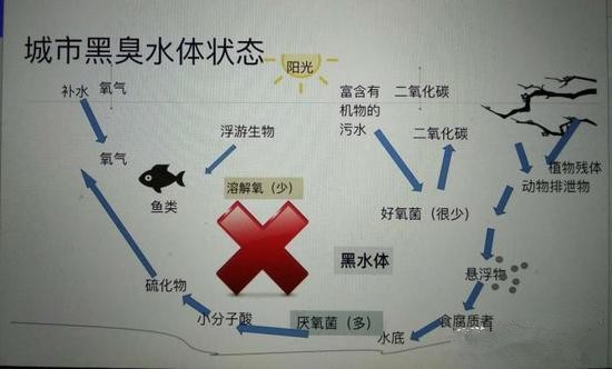 江蘇億元投資治污新技術(shù) 石墨烯能否治理黑臭水體？