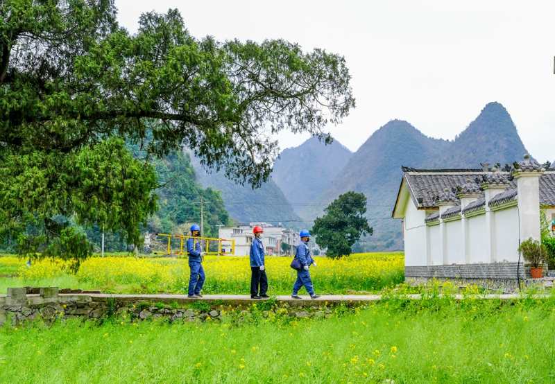 平塘供電局：“網(wǎng)格化”服務(wù)，護(hù)航“菜籃子”