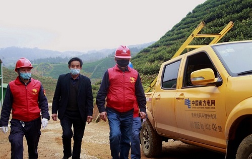 平塘供電局：“加減法”同構(gòu)服務(wù)，護(hù)航“貴州春茶第一壺”