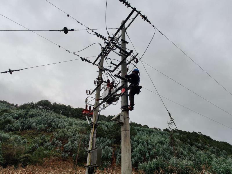 臨滄云縣供電局開展線路維護消缺，大幅提升供電可靠性