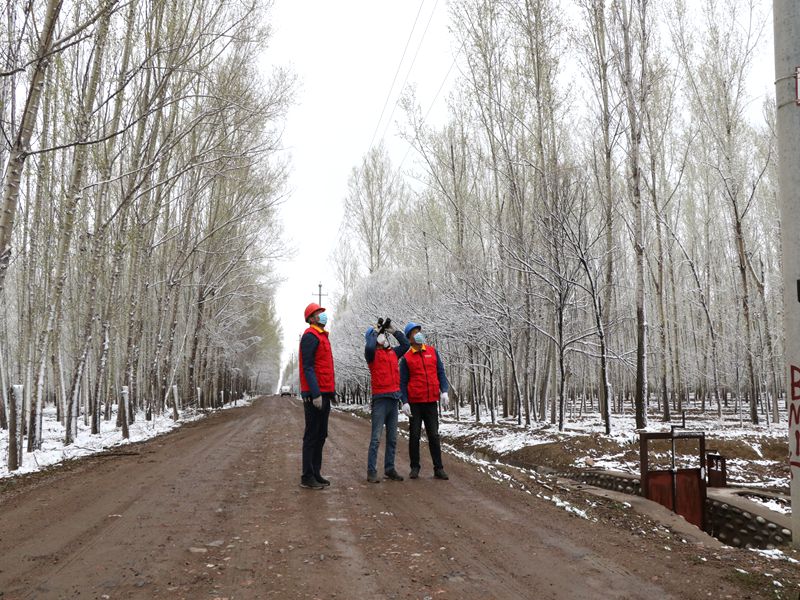 國網(wǎng)伊犁伊河供電公司四月飛雪，電力員工巡視線路保供電
