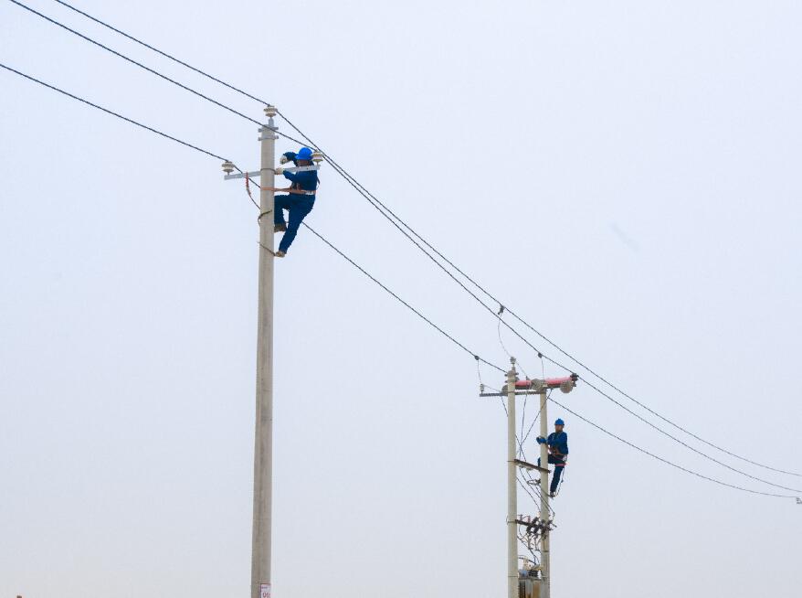 阿拉善供電公司：電網(wǎng)健康“體檢”，從登桿開(kāi)始