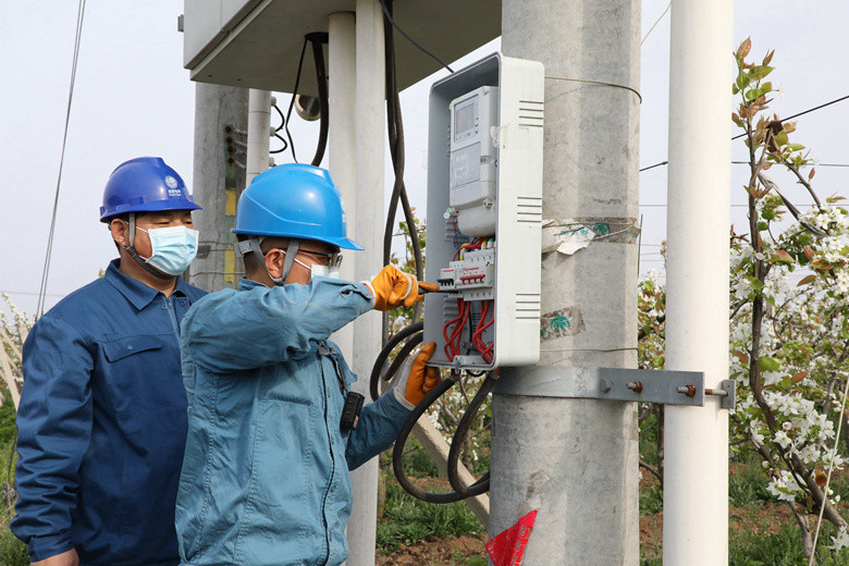 國網諸城市供電公司電力足，千畝梨園花正濃