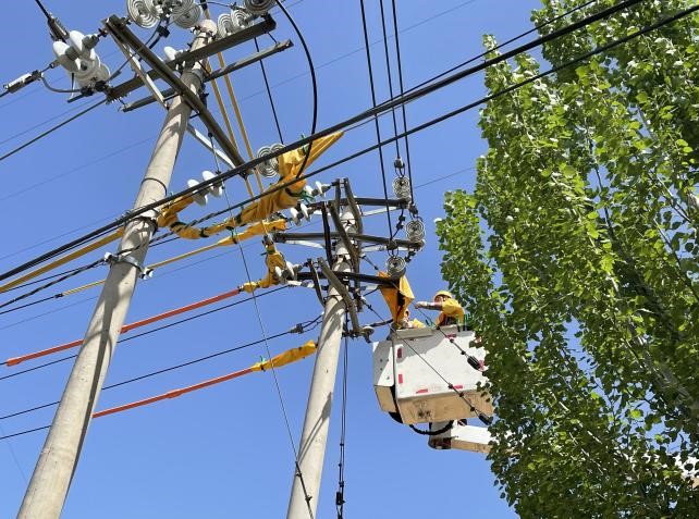 帶電作業(yè)除隱患，安全供電有保障