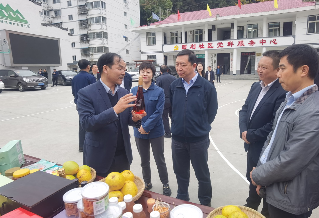 中核集團總經(jīng)理、黨組副書記顧軍赴陜西白河、旬陽調(diào)研鄉(xiāng)村振興工作