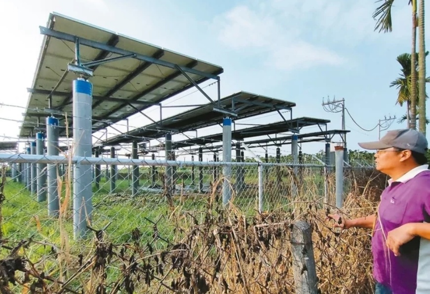 臺(tái)媒：農(nóng)田“種電”讓農(nóng)民苦不堪言，島內(nèi)面臨農(nóng)電兩失困境