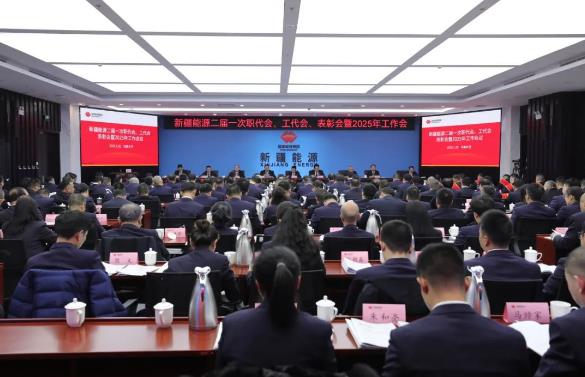 國能新疆能源召開二屆一次職代會、工代會、表彰會暨2025年工作會