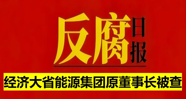 經濟大省能源集團原董事長被查！