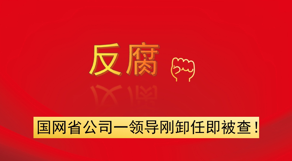 國網(wǎng)省公司一領(lǐng)導剛卸任即被查！